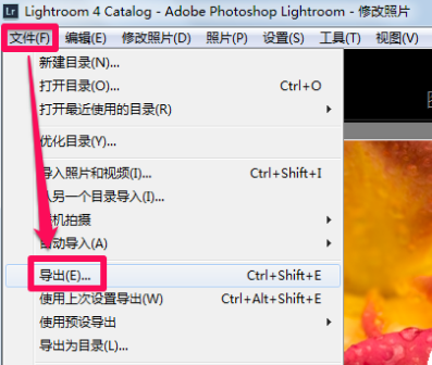 Lightroom2019使用帮助3