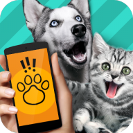 PetTranslator app(动物语言翻译器)