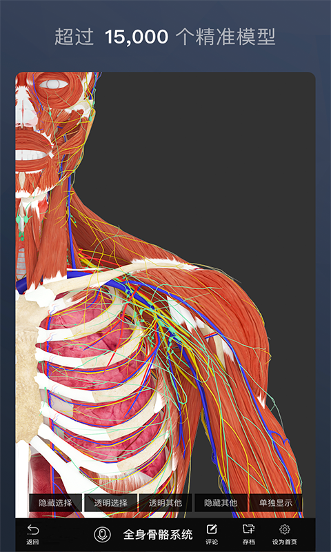 维萨里3d解剖教学app