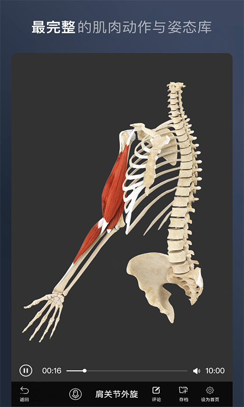 维萨里3d解剖教学app