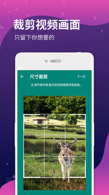 去水印视频提取app