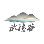 武陵谷app