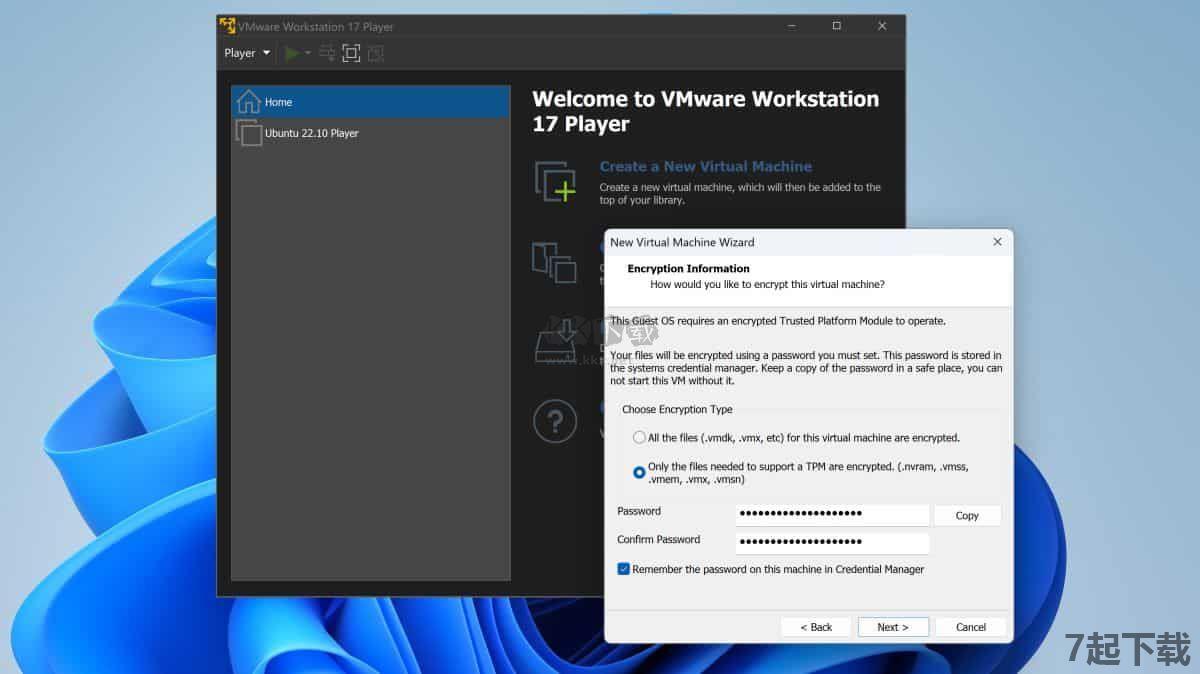 VMware Workstation Pro17虚拟机
