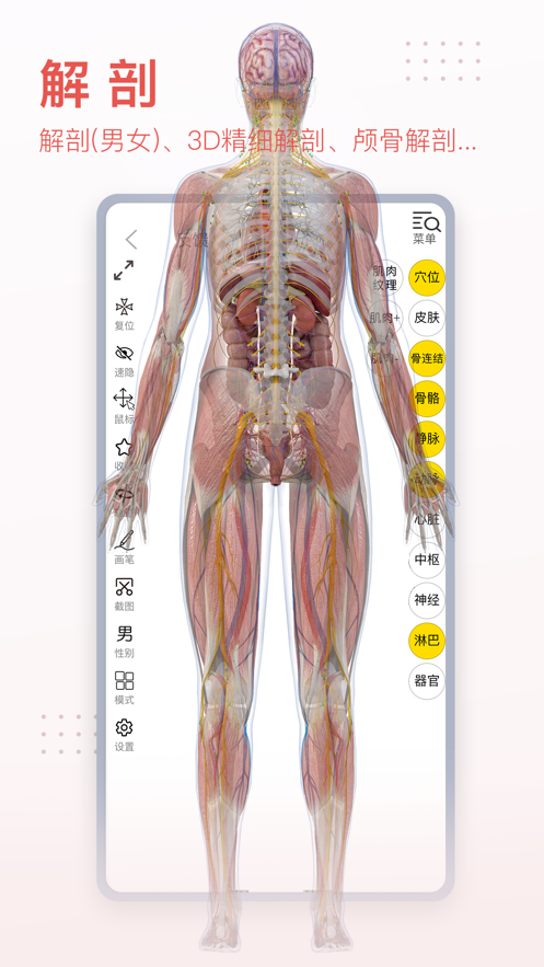3Dbody解剖app