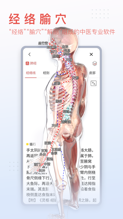 3Dbody解剖app