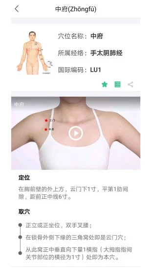 经络穴位图解app