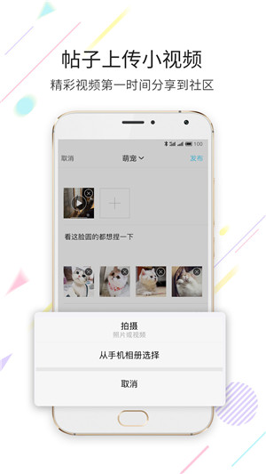 嘉兴第九区 v2.3.36 app