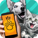 Pet Translator官方正版软件 v1.1 app