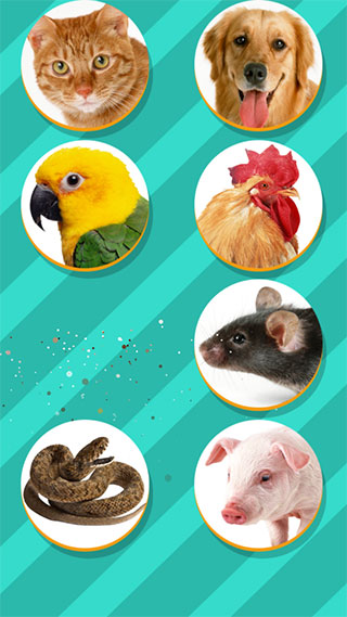 Pet Translator官方正版软件 v1.1 app