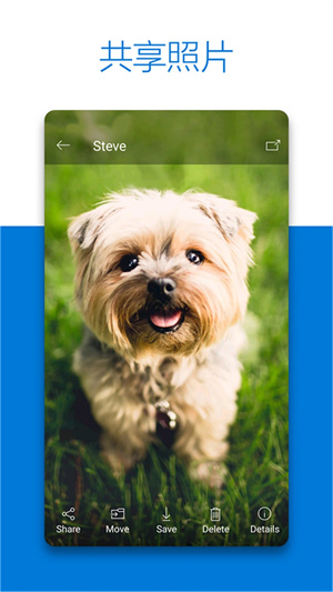 OneDrive5T永久容量版（SkyDrive） v6.91.2 app